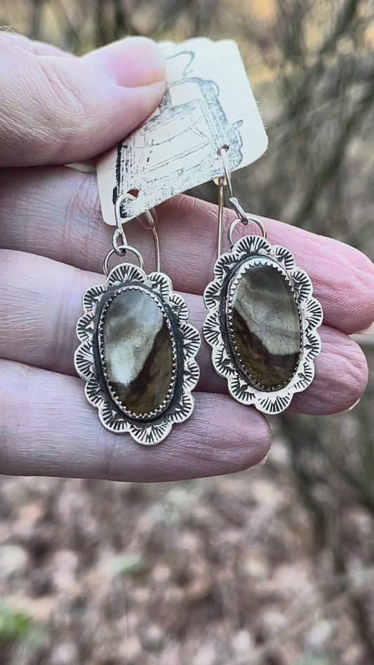Picture Agate & Sterling Silver earrings.
