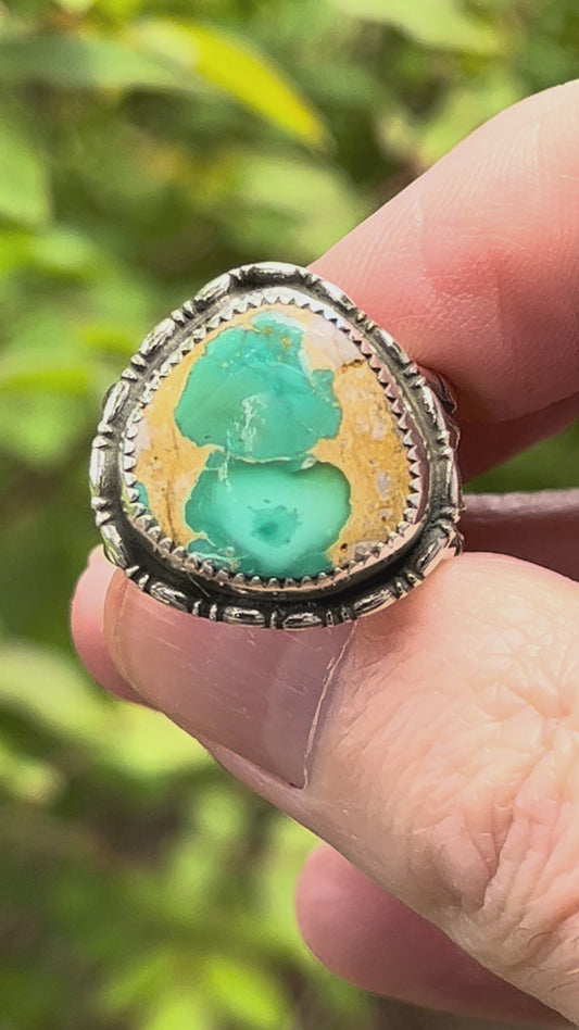 Natural Crow 🐦‍⬛ Springs”Birds eye” Turquoise Ring Sz-8.75-9